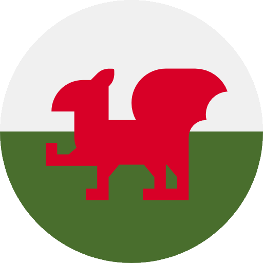 Market Research Wales