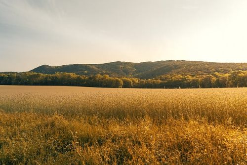 Countryside