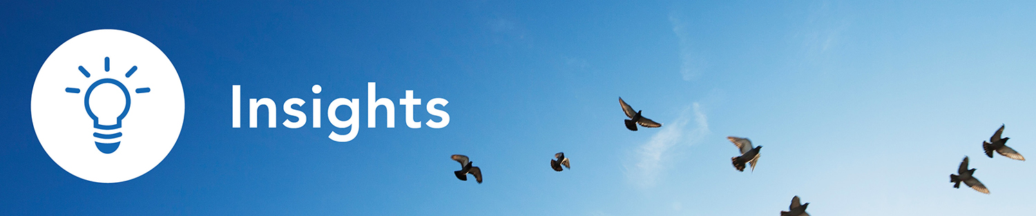 Insights banner