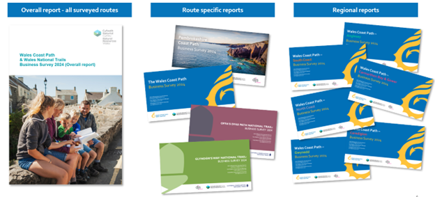 image of front covers of the three reports produced