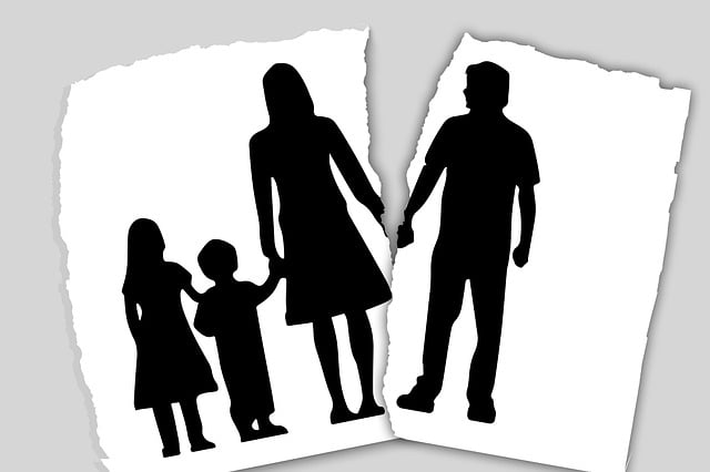 Divorce vector